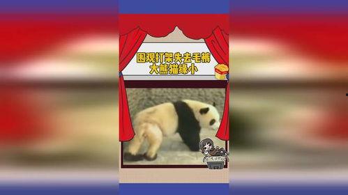 吃瓜的缘分