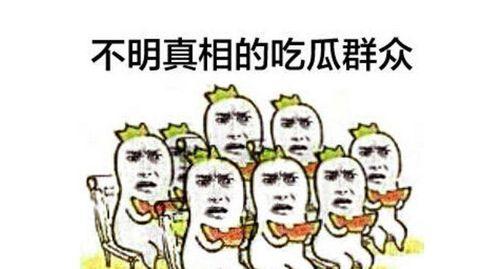 微软吃瓜群众视频,吃瓜群众视角下的公司日常