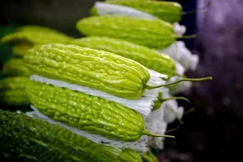 宝宝吃高瓜,高瓜营养食谱解析
