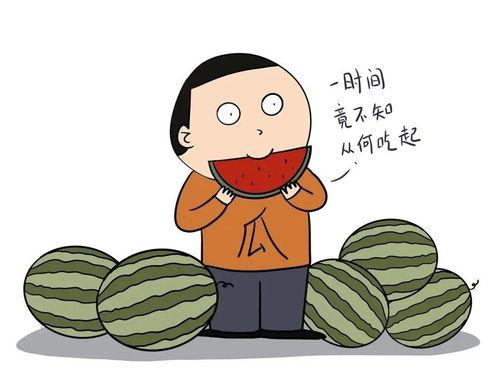 我在吃瓜英语,轻松学英语的新潮流