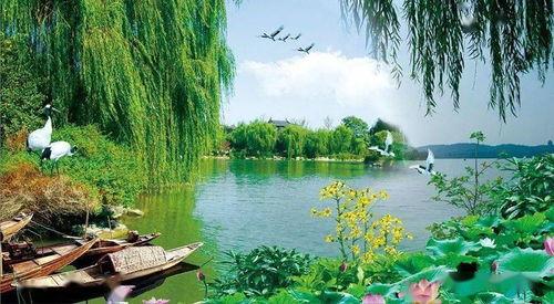 风景如画吃瓜真好,悠然自得的生活瞬间