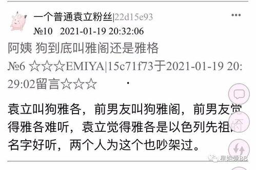 执着吃瓜文案短句,执着吃瓜者的甜蜜苦旅